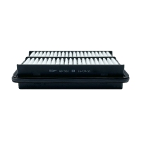 BIG FILTER GB-922 (C2432, LX2863, AP176/8, Suzuki 1378054G10) GB922