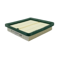 BIG FILTER GB-9776 (C2229, LX827, AP082/1, GM 96182220) GB9776