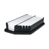 FILTRON AP 122/9 (A-Hyundai/Kia 281133X000, 5904608101228) AP1229